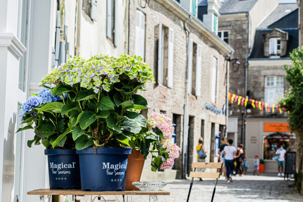 800 amunta guerande fleurs en terrasse