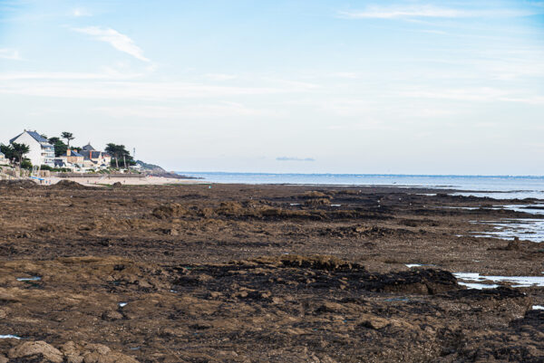 800 amunta pornichet maree basse