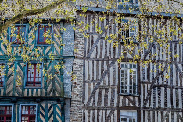 800 amunta rennes façades pans de bois